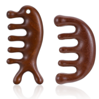 LIQWEI 2 Pcs Wooden Massage Comb, Scalp Massager Wide Tooth Combs, Scalp Gua Sha Massage Tool for Women Men, Meridian Combs Dandruff Comb for Head
