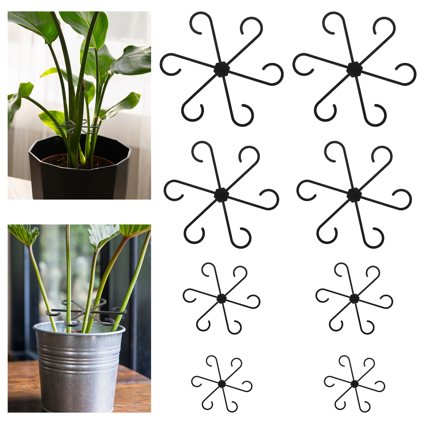 TIESOME 8pcs Climbing Houseplant Stem Supports, Black Plastic Plant Climbers Stem Holders, Reusable Flower Plant Stakes Trellis Stem Hook Growth Accessories for Indoor Plants