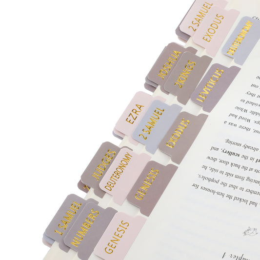 MBAIYO 150Pcs Laminated Bible Tabs for Women and Men, Bible Study Tabs Bible Study Supplies Large Print Bible Book Index Tab with Gold Foil Embossed Lettering (Gray + Gold)