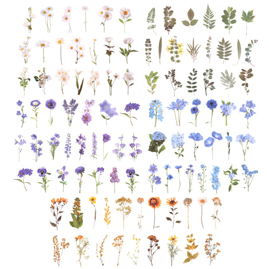LXUEJIE 200 Pcs Transparent Flower Stickers for Scrapbooking, PET Nature Stickers Vintage Craft Floral Sticker for Scrapbook, Journal, Notebook, Envelope, Water Bottle, Phone Case, Craft Decoration