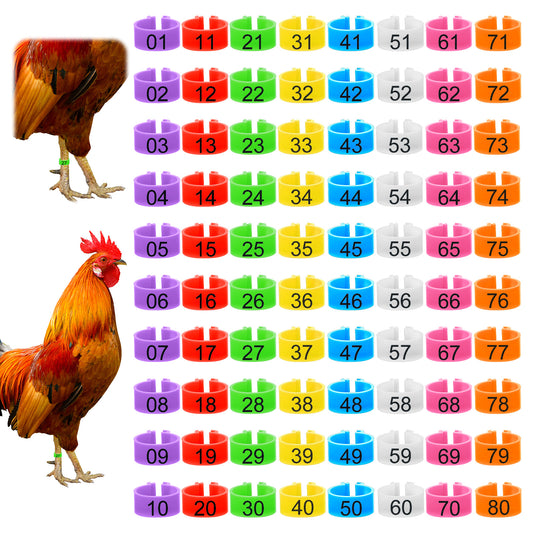 LXUEJIE 80 Pcs Chicken Leg Bands, 16mm Chicken Tags for Legs, Colorful 01-80 Numbered Chickens Identification Leg Bands Duck Poultry Legs Tags Notched Ring Design for Easy Flock Management