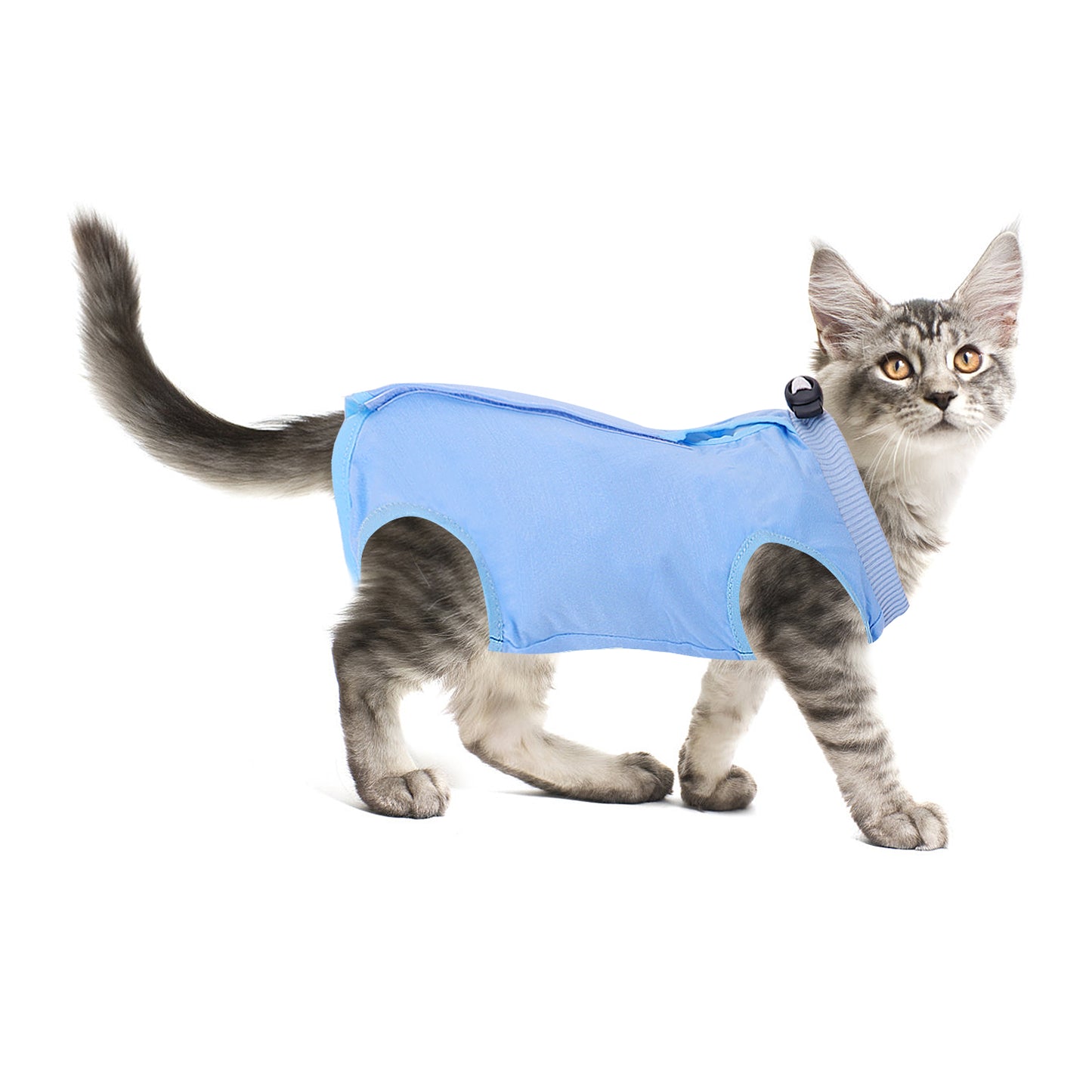 Molain Cat Professional Recovery Suit for Abdominal Wounds or Skin Diseases After Surgery E-Collar Alternative for Cats Anti Licking Pajama Suit Kittens Surgery Recovery Suit (Blue, S Size)