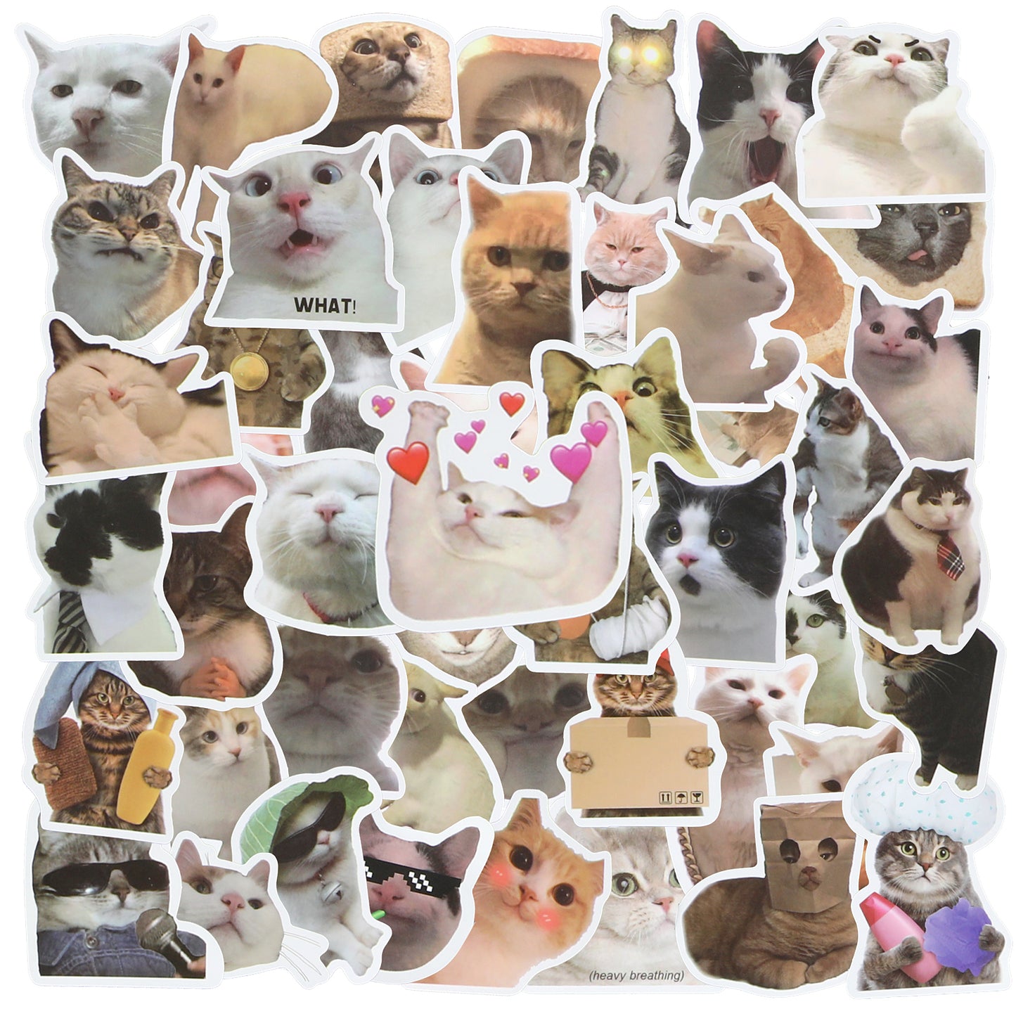 DOPENSPI 50PCS Funny Cat Meme Stickers, Cute Cat Stickers Waterproof Vinyl Sticker Decals for Water Bottle Phone Laptop Notebook Scrapbook Luggage Skateboard for Cats Lovers