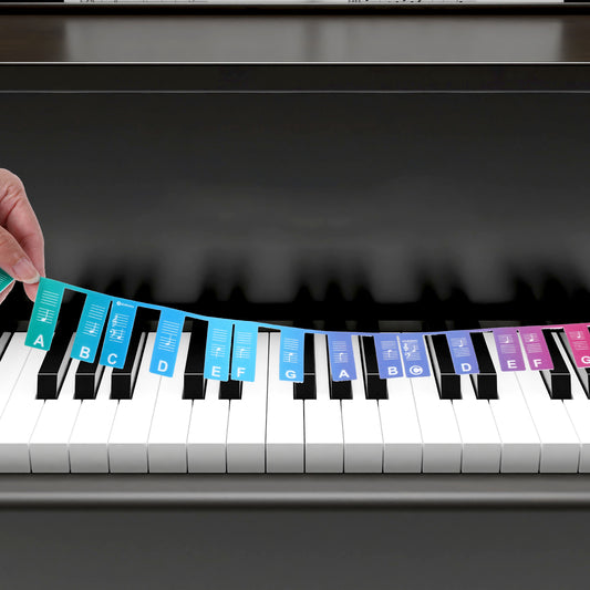 JIYIN Removable Piano Keyboard Note Labels, 61 Key Full Size Silicone Piano Keyboard Labels for Beginners, Rainbow Pianos Key Music Notes Letter Label Reusable with Box(Rainbow)
